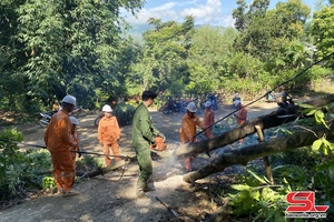 Vận hành an toàn lưới điện trong mùa mưa lũ