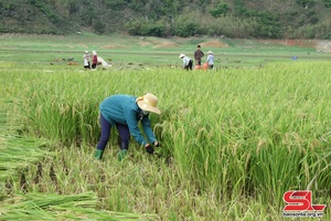 Xác định hướng đi đúng trong phát triển kinh tế