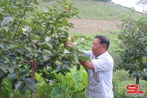 Phát huy vai trò người có uy tín trong cộng đồng