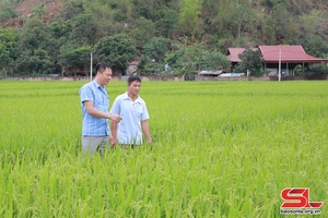 Đảng bộ xã Huy Hạ lãnh đạo nhân dân chuyển đổi cơ cấu cây trồng, vật nuôi