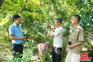 Tham mưu hiệu quả công tác tổ chức, cán bộ