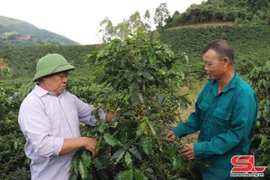 Duy trì các mô hình kinh tế phù hợp, hiệu quả