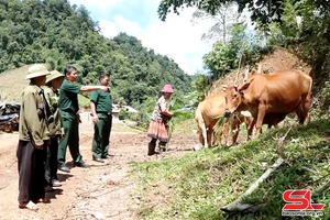 Giúp nhân dân giảm nghèo, nâng cao thu nhập