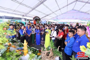 'Tuổi trẻ Sơn La hỗ trợ nông dân quảng bá và tiêu thụ nông sản