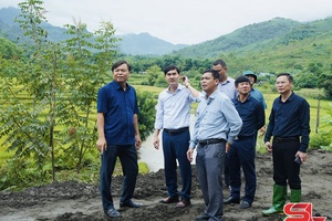 Thứ trưởng Bộ Nông nghiệp và Phát triển nông thôn kiểm tra tình hình khắc phục thiên tai tại Phù Yên