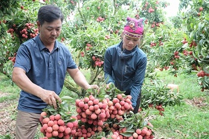 Tạo đà hình thành nền nông nghiệp sinh thái, minh bạch, trách nhiệm