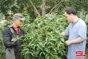 Giúp đồng bào dân tộc thiểu số phát triển sản xuất