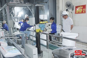 Phát triển văn hóa an toàn lao động