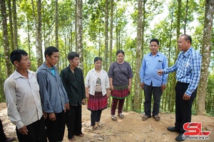 Đồng thuận thực hiện chủ trương sáp nhập bản