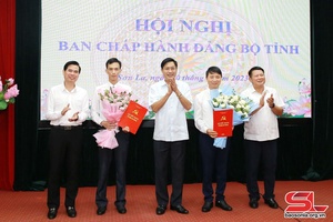 Hội nghị Ban Chấp hành Đảng bộ tỉnh