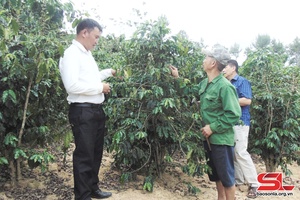 Phong trào thi đua “CCB gương mẫu” ở Sốp Cộp