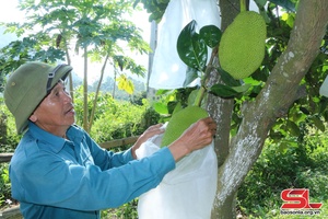 Đồng hành cùng nông dân đẩy mạnh sản xuất, kinh doanh giỏi