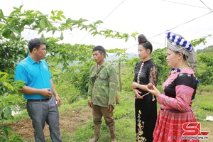Nâng cao chất lượng công tác tuyên truyền, vận động gắn với thực hiện tốt quy chế dân chủ ở cơ sở