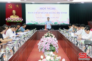 Hội nghị Ban Chấp hành Đảng bộ tỉnh