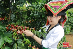 Nhiều mô hình “Dân vận khéo” ở Mai Sơn