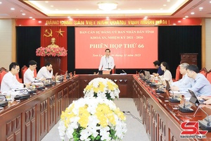 Phiên họp thứ 66, Ban cán sự Đảng UBND tỉnh