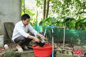 Đảm bảo nước sinh hoạt hợp vệ sinh vùng đồng bào dân tộc thiểu số