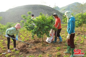 Đẩy nhanh tiến độ xây dựng nông thôn mới