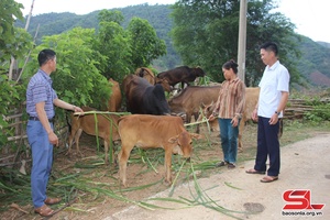 Vai trò người có uy tín ở vùng cao Bắc Yên