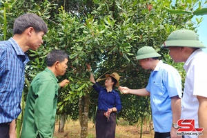 Nông dân Thuận Châu thi đua sản xuất, kinh doanh giỏi