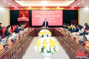 Phiên họp chuyên đề tháng 11 năm 2023, UBND tỉnh khóa XV