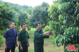 Những cựu chiến binh trên trận tuyến mới