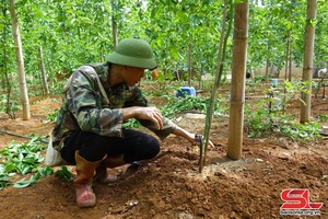 Tập trung lãnh đạo phát triển kinh tế, giảm nghèo bền vững