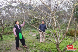 Phát triển đảng viên, thêm sức mạnh cho Đảng