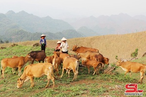 Mường Lèo nỗ lực giảm nghèo