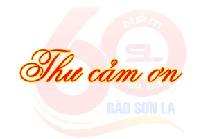 Thư cảm ơn