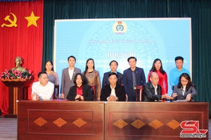 Công đoàn Viên chức tỉnh triển khai nhiệm vụ năm 2024