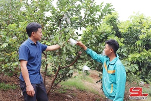 Về Mường Hung