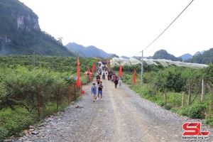 Mộc Châu sẵn sàng cho Giải chạy Marathon đường mòn Việt Nam