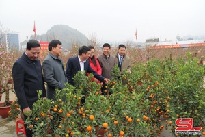Khai mạc Hội chợ hoa xuân thành phố Sơn La - Xuân Giáp Thìn 2024