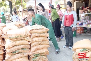 Cấp phát gạo cho các hộ thiếu đói dịp tết Nguyên đán Giáp Thìn 2024