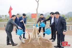 Ra quân trồng cây mừng Đảng, mừng Xuân Giáp Thìn năm 2024