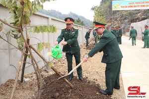Các hoạt động ra quân đầu xuân của các địa phương, đơn vị
