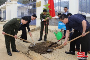 Thuận Châu phấn đấu trồng 3.740 cây phân tán