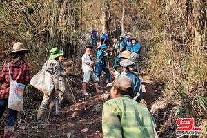 Mai Sơn: Khẩn trương khống chế đám cháy rừng 
