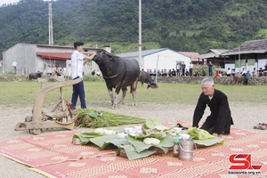 Lễ cúng vía trâu của dân tộc Thái