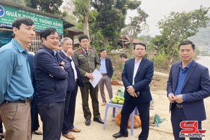  Đồng chí Phó Chủ tịch UBND tỉnh làm việc với huyện Thuận Châu