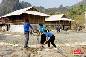Ngày cao điểm “Tình nguyện chung tay xây dựng nông thôn mới"