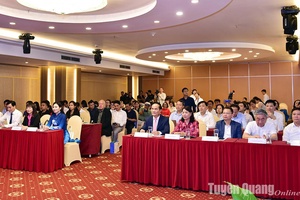 'Tuyên Quang truyền thông Năm du lịch và Lễ hội khinh khí cầu quốc tế lần thứ 3 tại Đà Nẵng