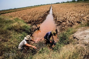 Tăng cường phòng, chống nắng nóng, hạn hán, thiếu nước, xâm nhập mặn