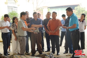 Đoàn công tác Sở Nông lâm nghiệp các tỉnh nước CHDCND Lào thăm mô hình kinh tế 