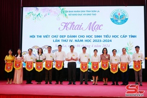 Khai mạc Hội thi viết chữ đẹp dành cho học sinh tiểu học cấp tỉnh