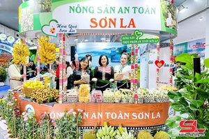Sơn La tham gia Hội chợ Du lịch quốc tế Việt Nam – VITM Hà Nội năm 2024