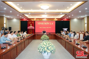 Hội nghị giao ban trực tuyến công tác phi chính phủ nước ngoài năm 2024