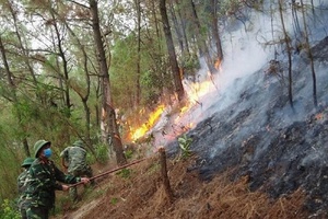 'Nắng nóng gay gắt kéo dài, cảnh báo cháy nổ, hỏa hoạn và cháy rừng