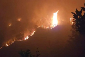 'Thủ tướng Chính phủ yêu cầu tăng cường triển khai các biện pháp cấp bách phòng cháy, chữa cháy rừng